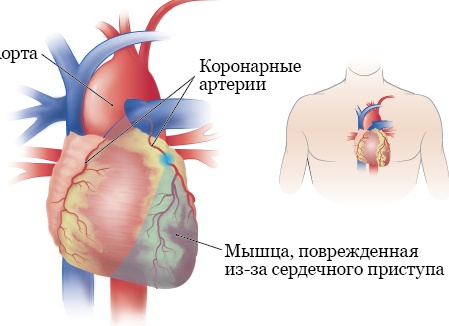 Будущее виртуальной реальности: как это повлияло на обучение и развлечения?